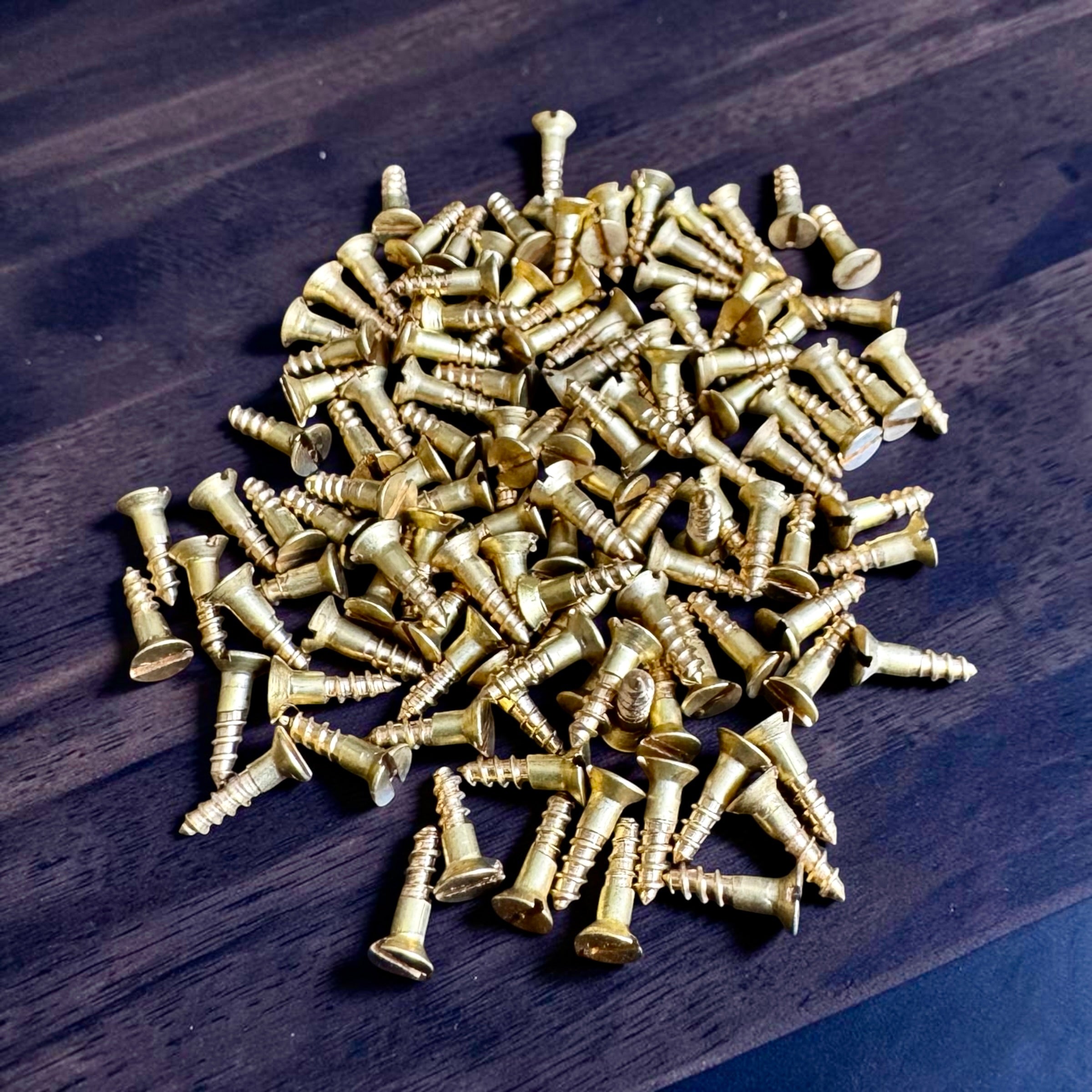 Brass Mounting Screws
