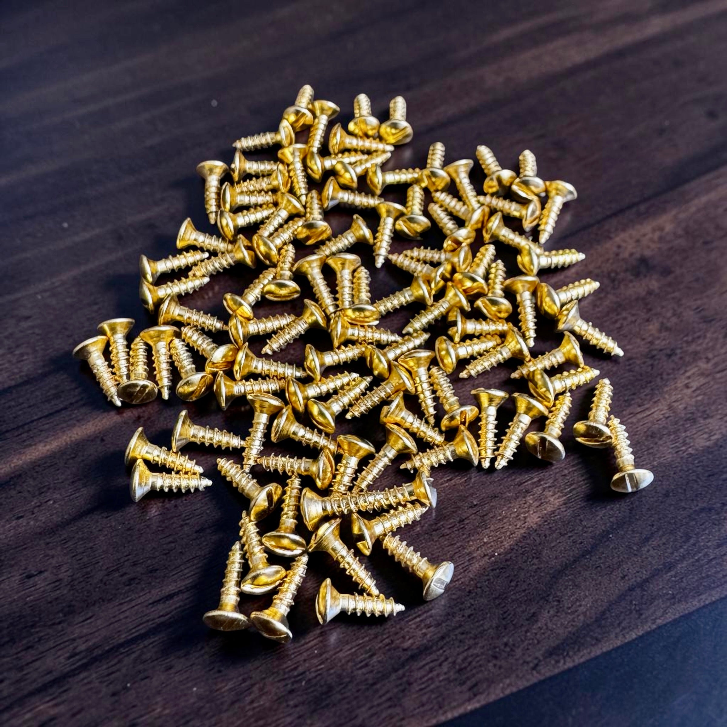 Steel Mounting Screws